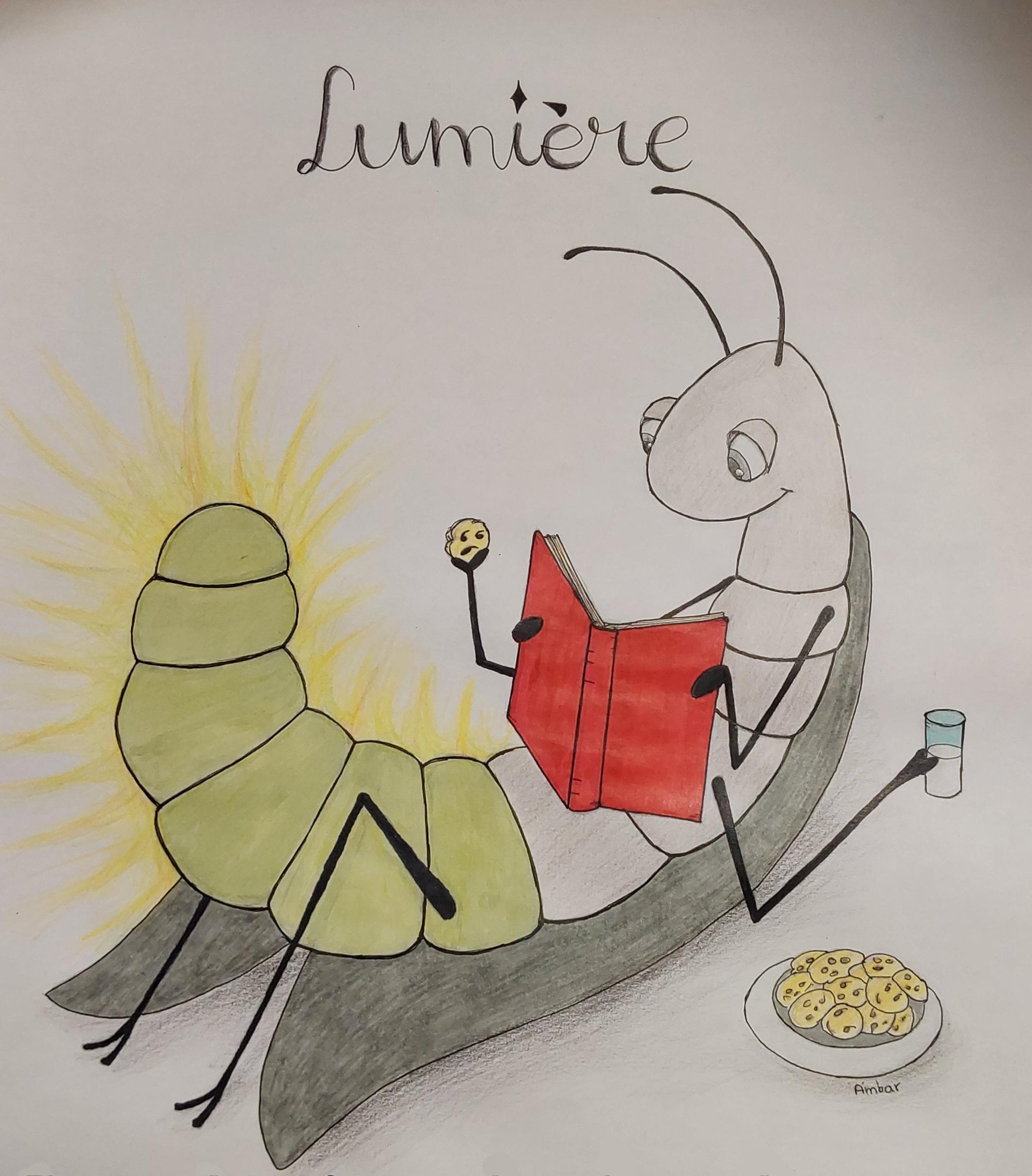 25-26 lumiere 25-26 lumiere