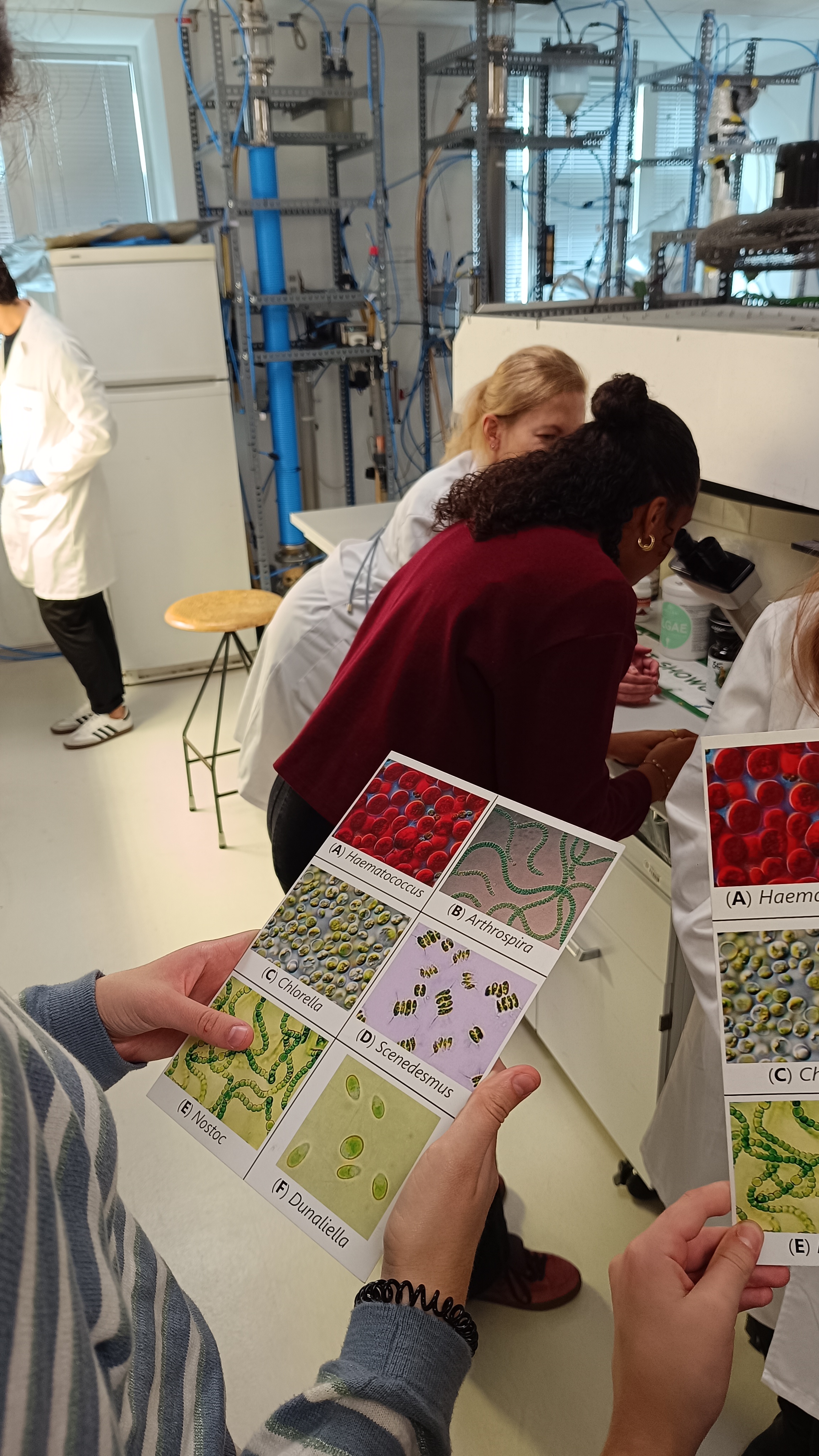 25-26 proc sost 07 25-26 proc sost 07